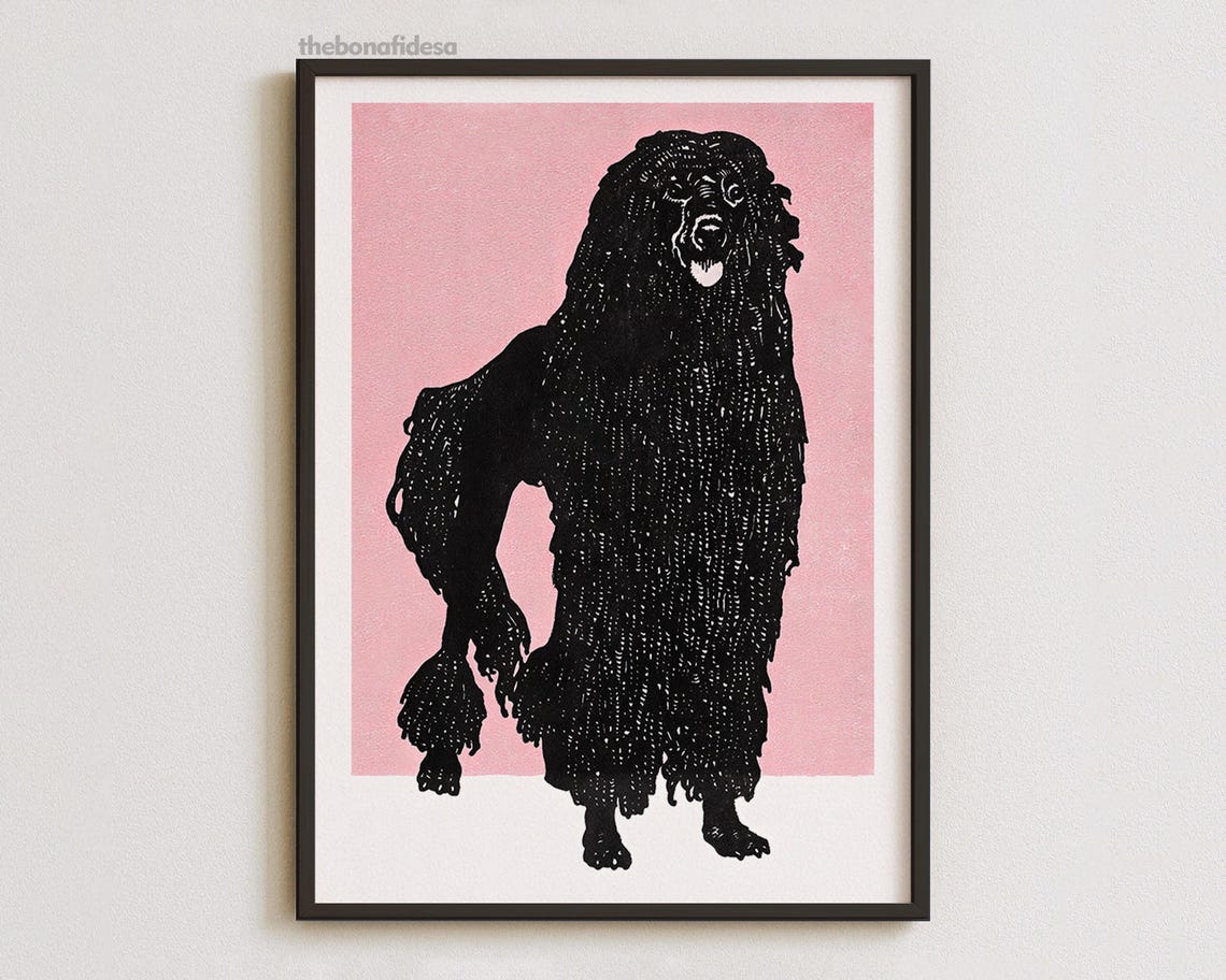 Black Poodle Woodblock Style Print Pink Background Modern Dog Art