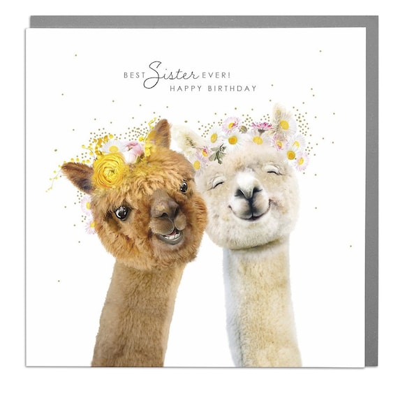 Best Sister Ever Alpacas with Flower Crowns Birthday Poster Card
