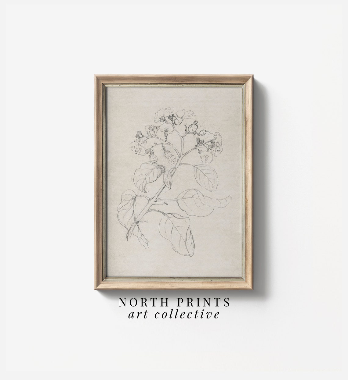 Neutral Antique Floral Pencil Sketch Flowering Branch Wall Art