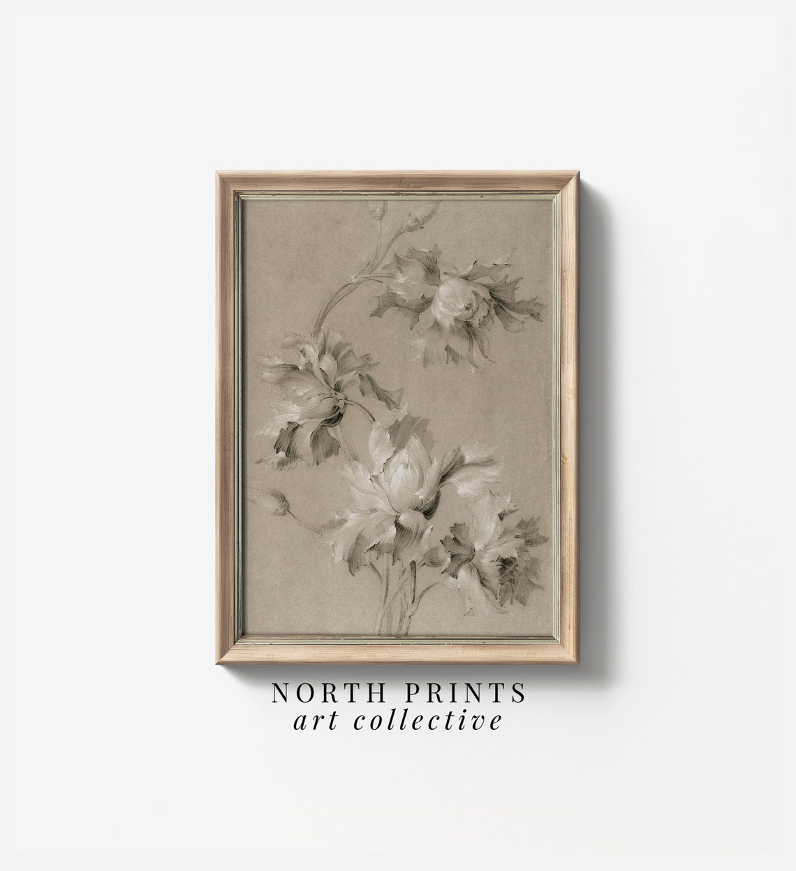 Neutral Antique Botanical Peony Sketch Vintage Floral Study Wall Art