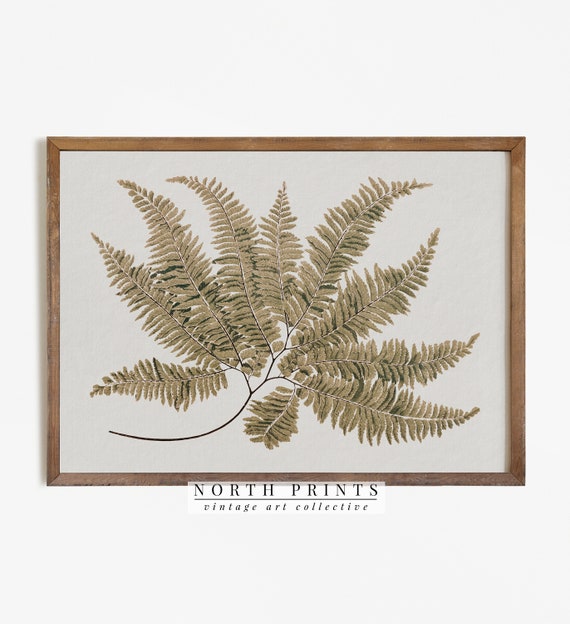 Antique Botanical Fern Print, Vintage Farmhouse Decor