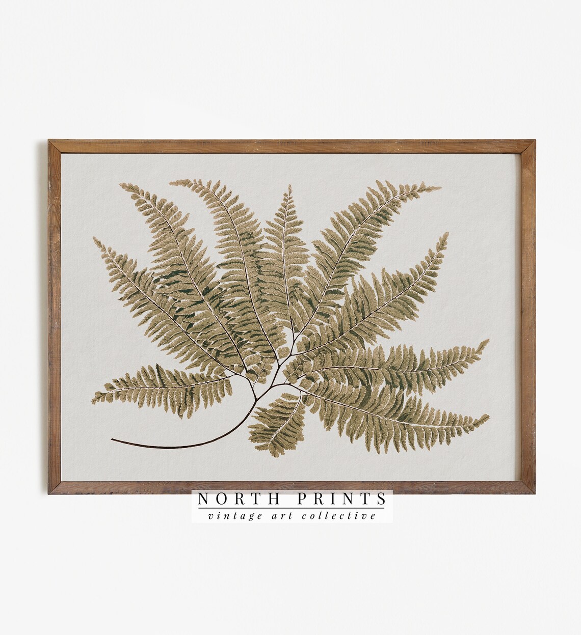 Antique Botanical Fern Print, Vintage Farmhouse Decor
