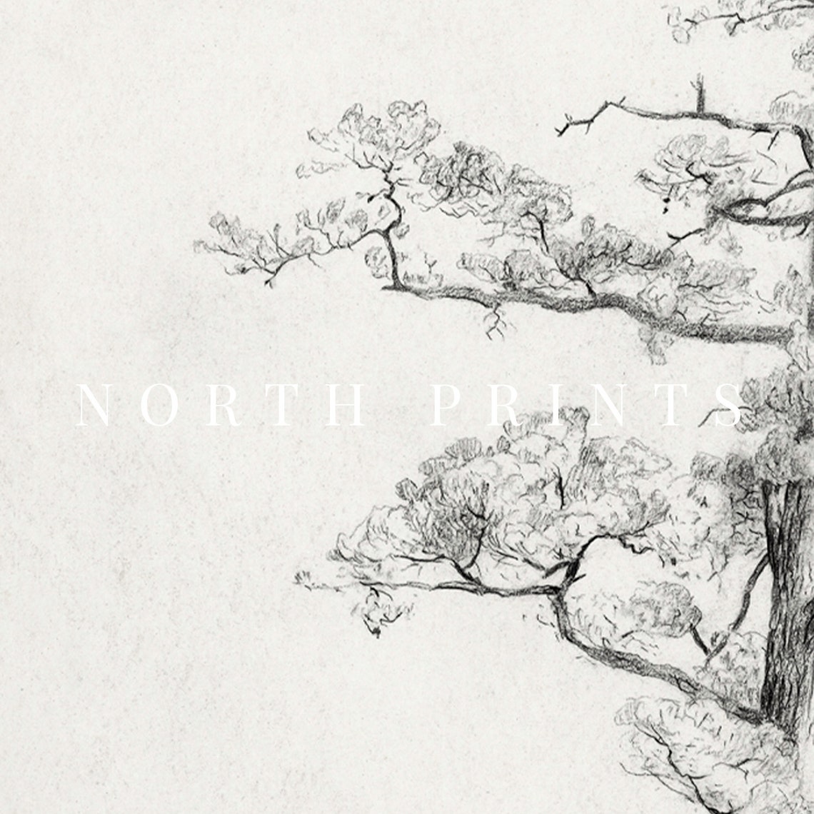 Neutral Antique Pine Tree Drawing Vintage Sketch Art Soft Decor Art 196 - Image 3