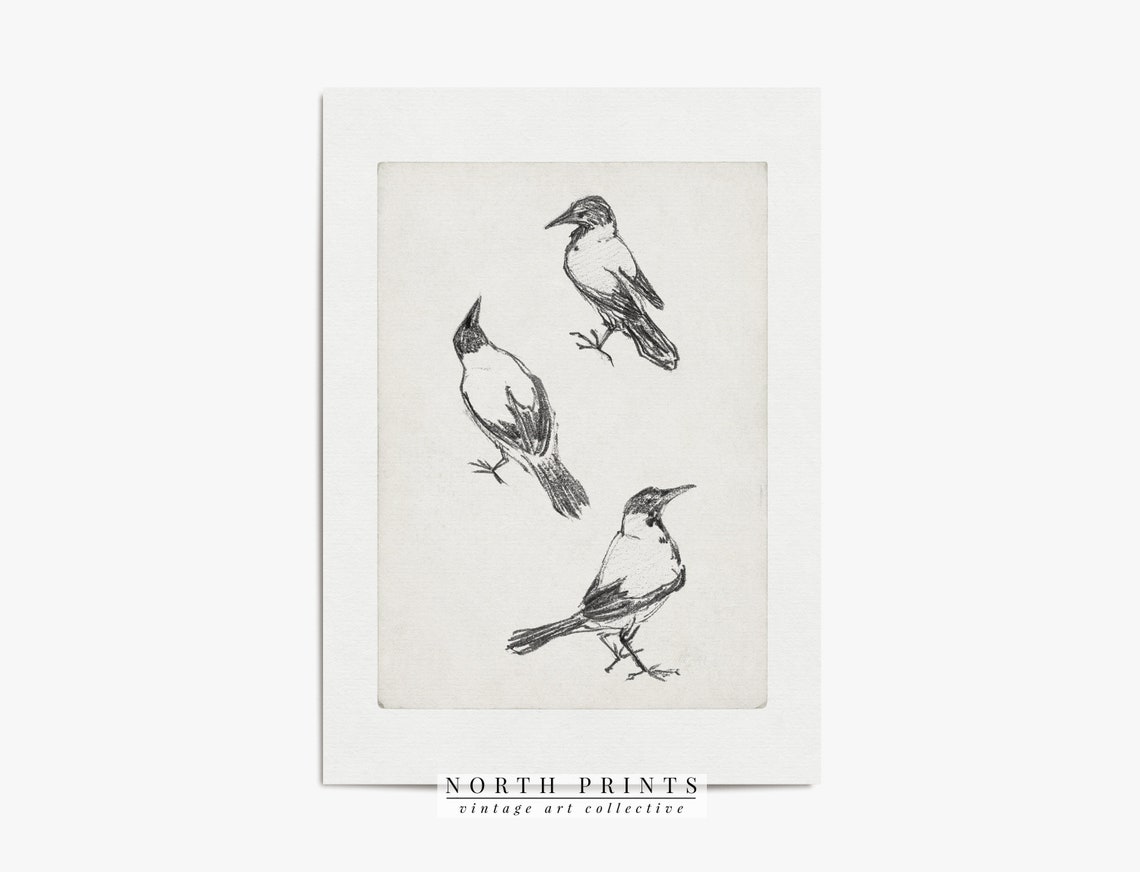 Three Perched Birds Minimalist Black White Vintage Sketch Wall Art - Image 2