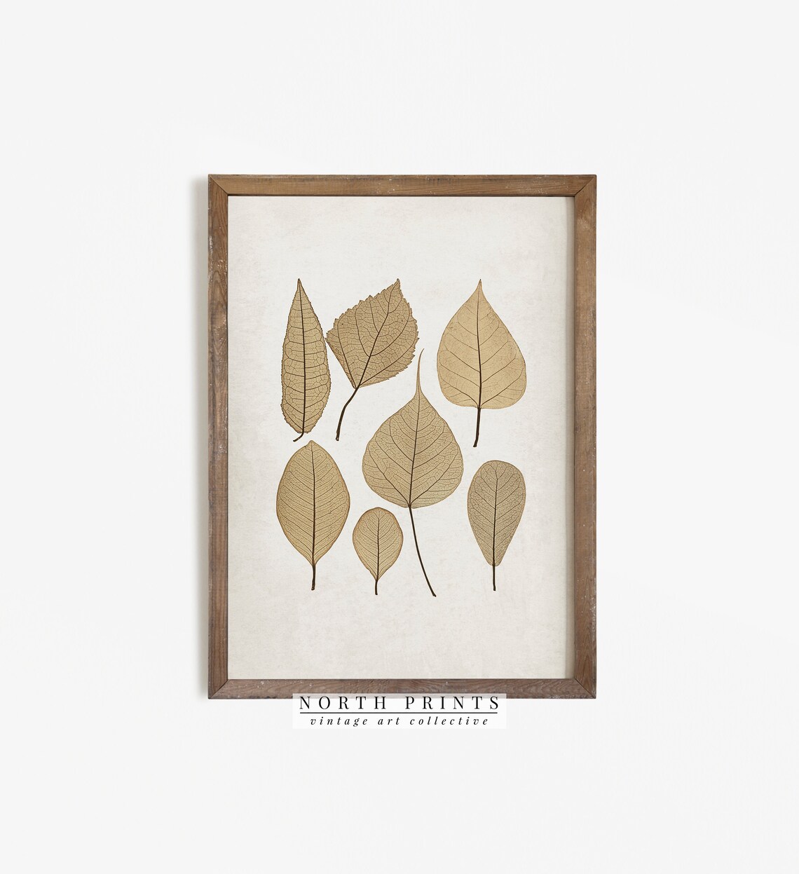 Autumn Botanical Vintage Pressed Leaf Art Print - Image 4