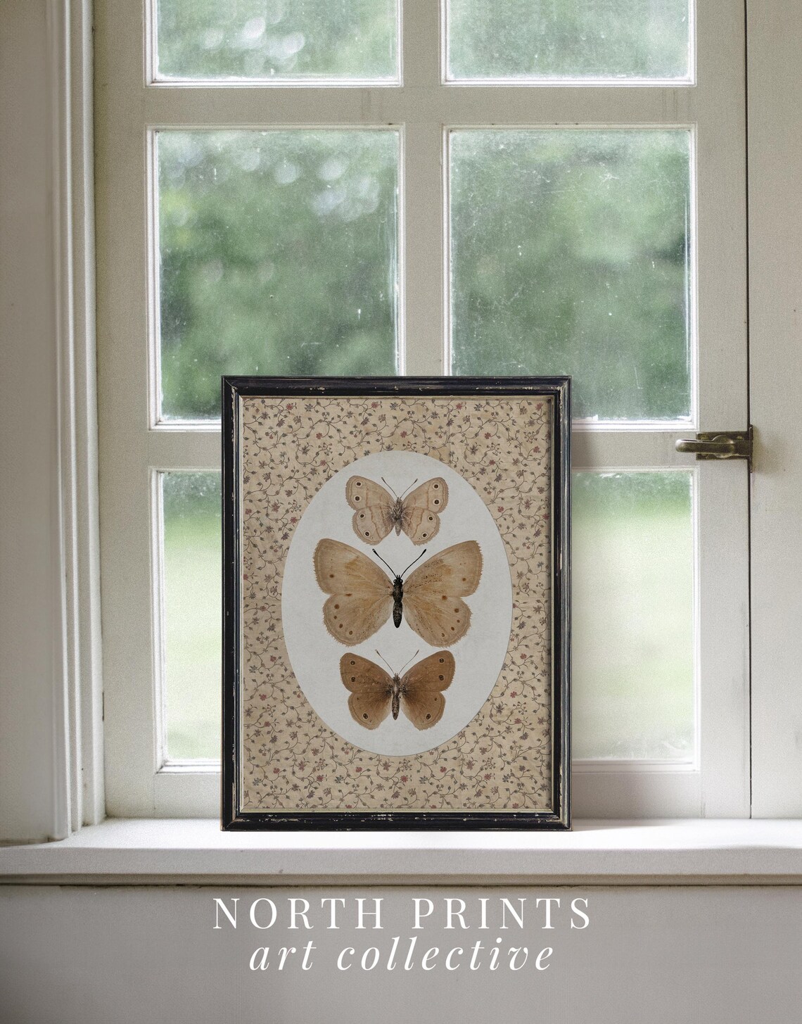 Vintage Butterfly Antique Moth Art Print, Cottagecore - Image 4