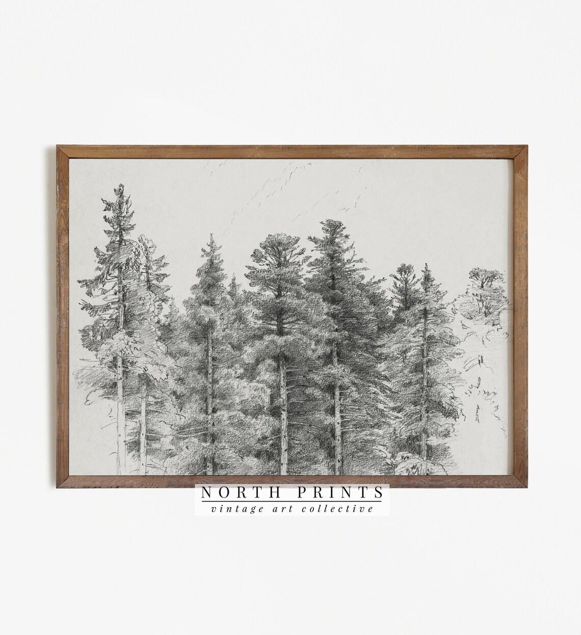 Antique Pine Tree Forest Sketch, Neutral Winter Sketch
