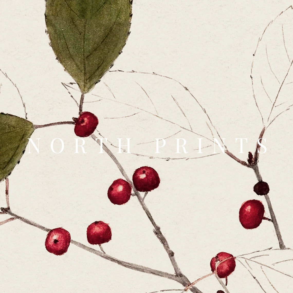 Vintage Botanical Christmas Art Print - Image 2
