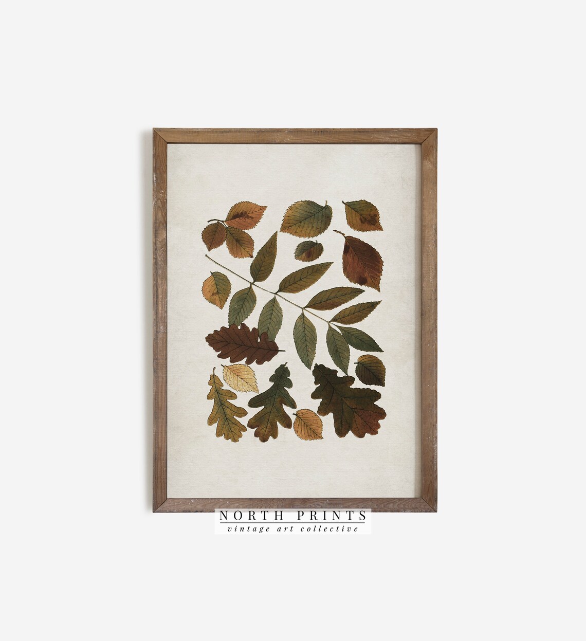 Antique Autumn Botanical Leaf Art Print, Fall Decor - Image 3