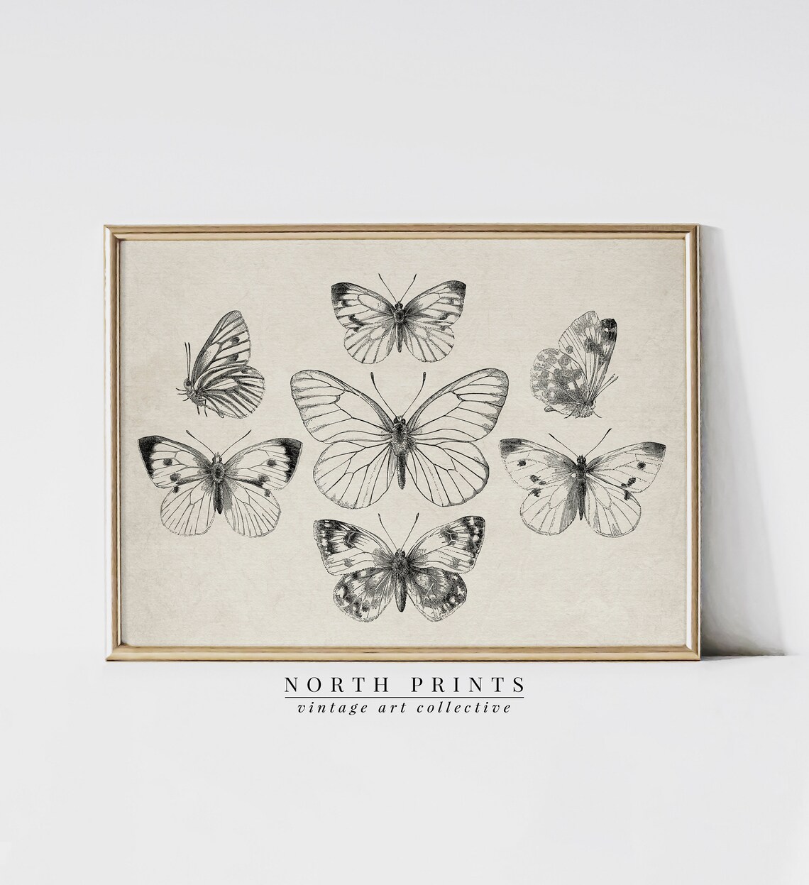 Vintage Butterfly Illustration Sketch Nursery Art Print