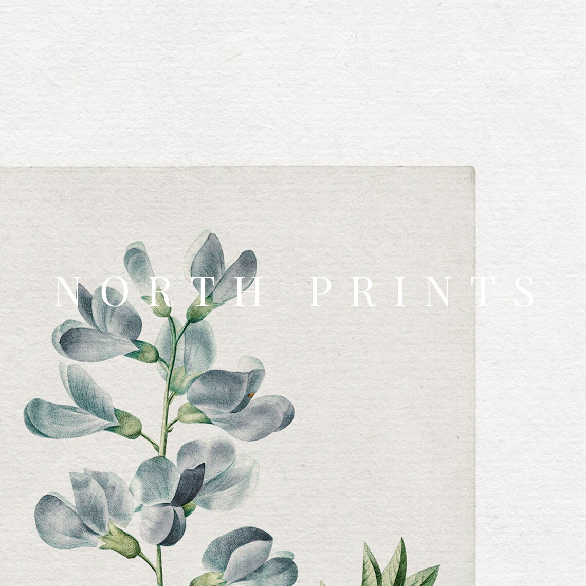 Farmhouse Botanical Blue Flower Watercolor Art Print - Image 4