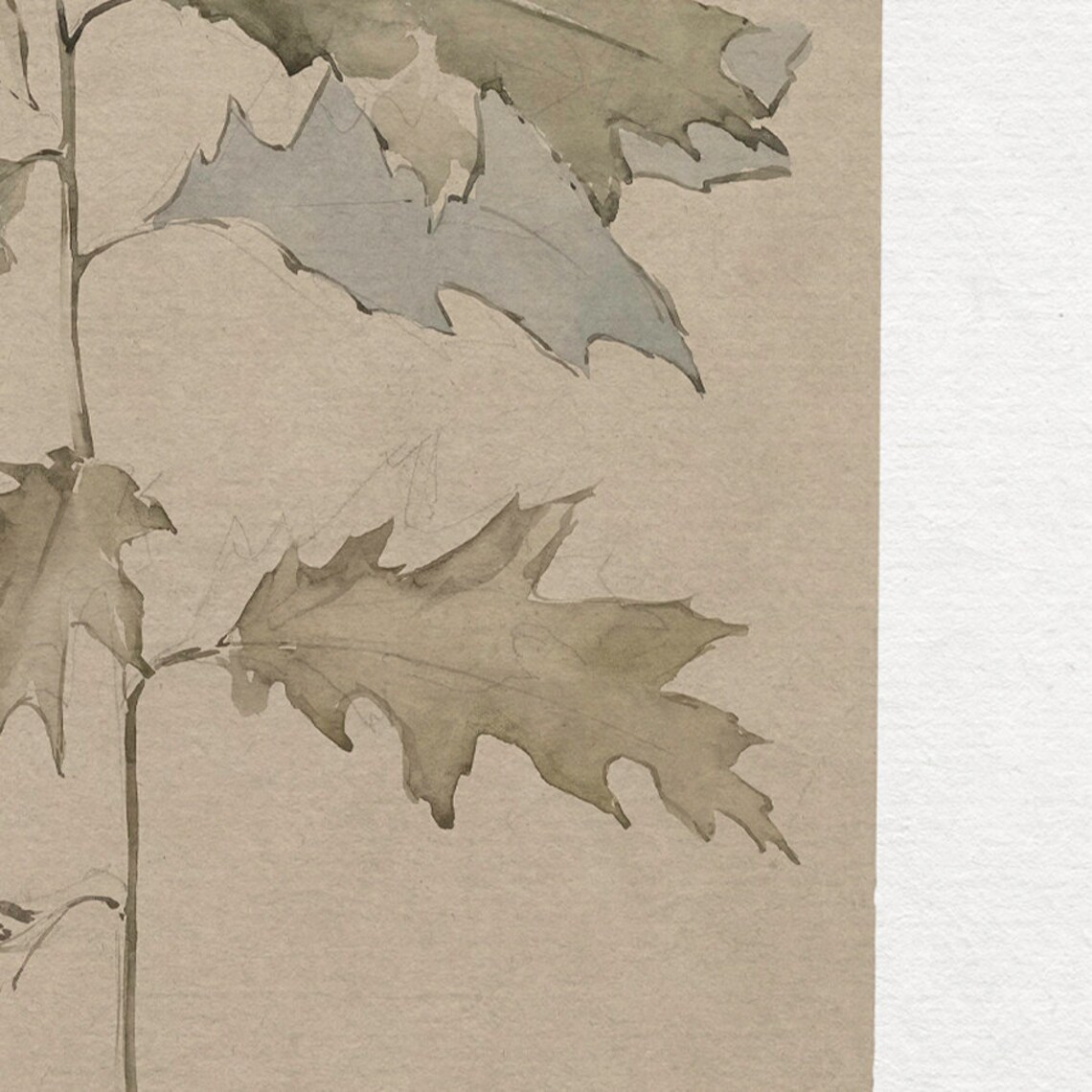 Vintage Sketch Botanical Oak Branch Drawing, Neutral Art Print - Image 4