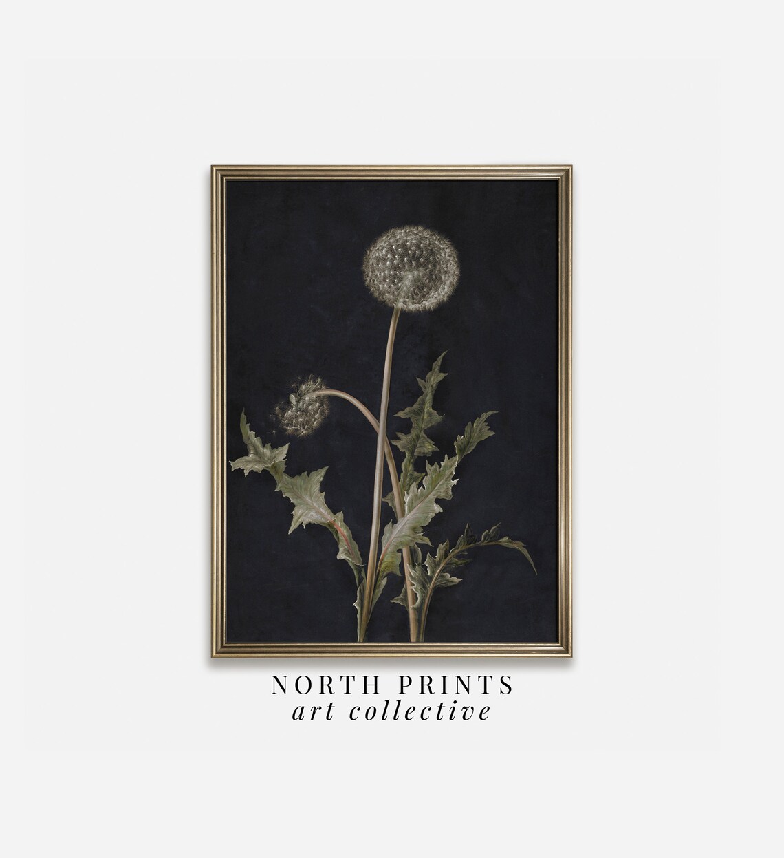 Navy Blue Dandelion Botanical Art Print, Vintage - Image 2