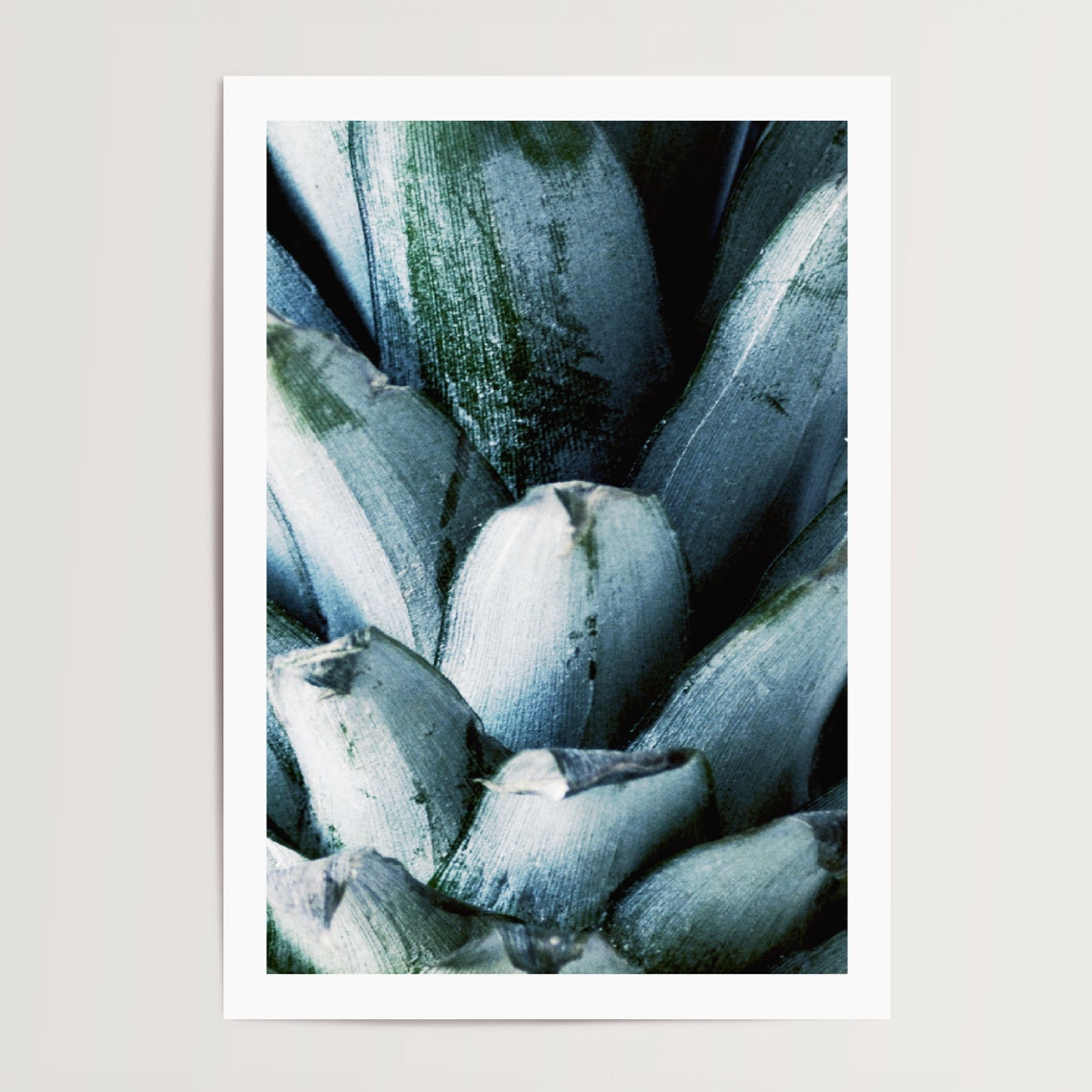 Pineapple Crown Macro Cool Blue Green Botanical Photo Poster - Image 4