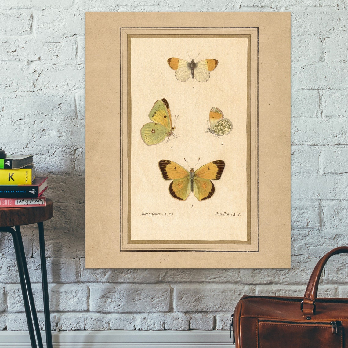 Vintage Yellow Butterfly Plate Antique Aurorafalter Art Poster - Image 2