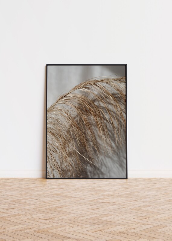 Dried Pampas Grass Beige Tones Botanical Macro Photo Art Poster