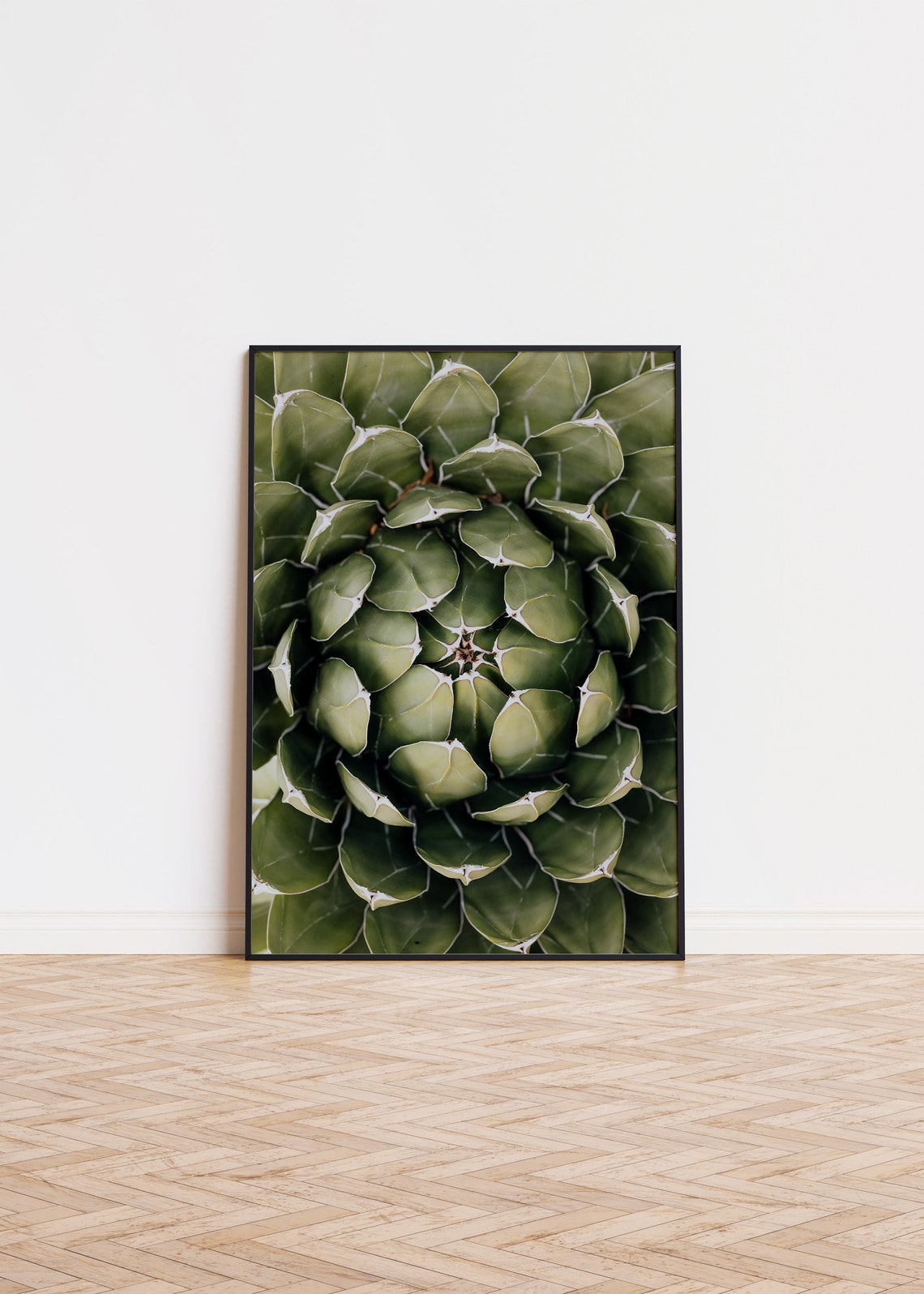 Green Agave Rosette Spiral Leaves Top Down View Photo Art Poster
