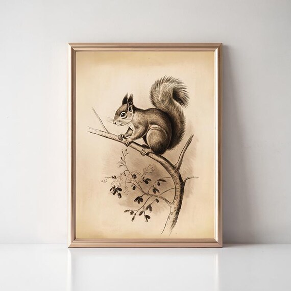 Vintage Squirrel Branch Sepia Sketch Antique Wildlife Acorn Art Poster