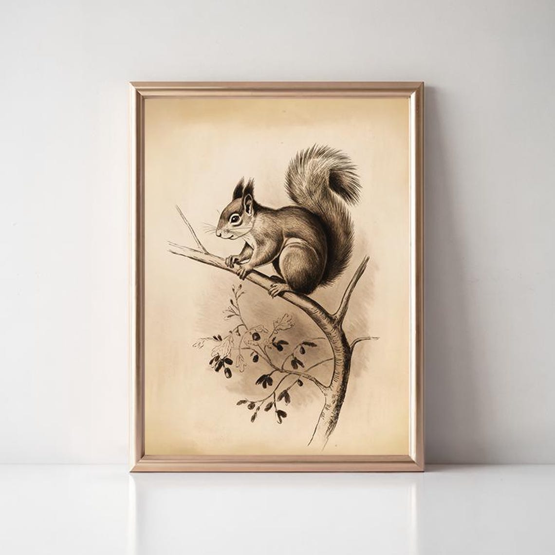 Vintage Squirrel Branch Sepia Sketch Antique Wildlife Acorn Art Poster