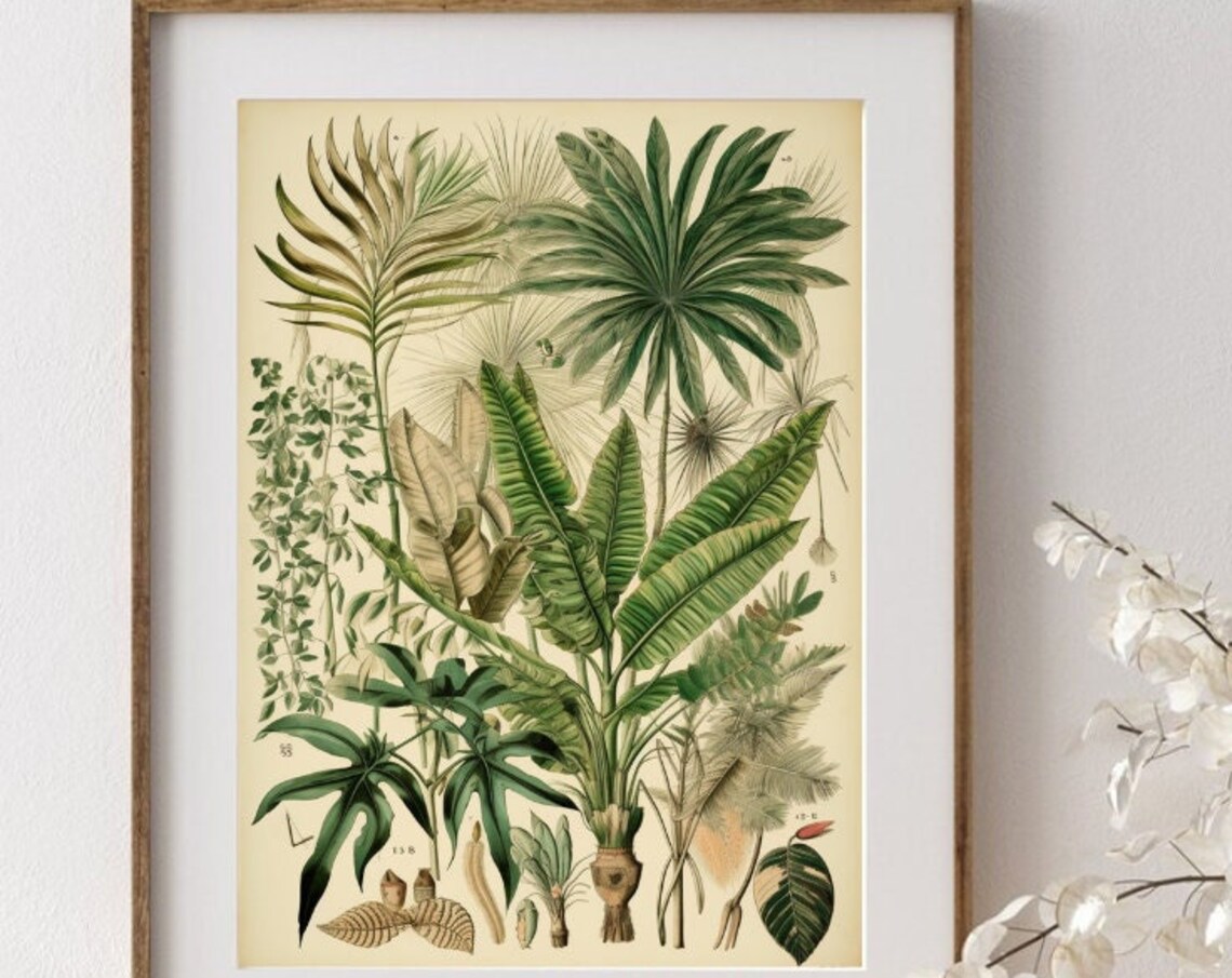 Vintage Botanical Chart Tropical Palm Leaves Illustration Poster