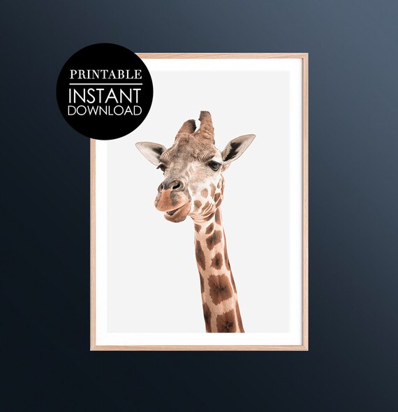 Cute Giraffe Portrait Minimalist Safari Wildlife Photo Poster