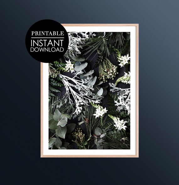Dark Moody Botanical Winter Greenery Black Background Poster