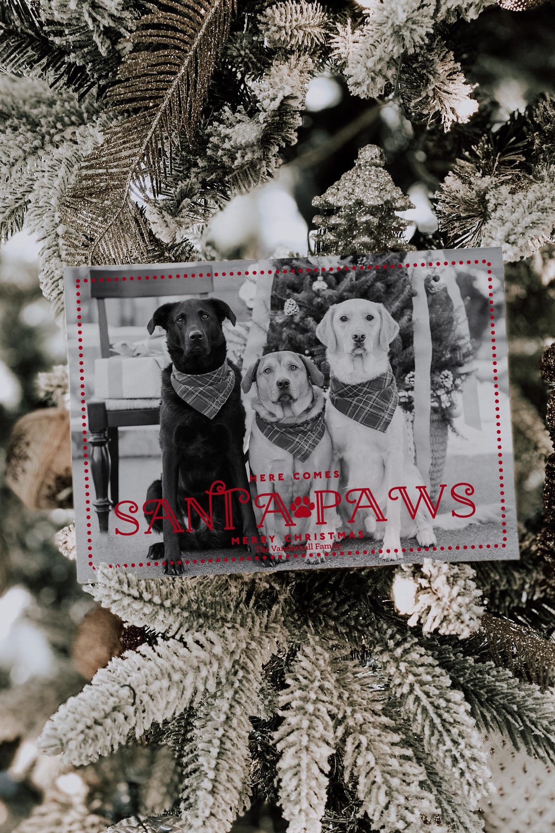 Dog Photo Christmas Card Template Pet Photo Christmas Card Dog Christmas Card Santa Paws Editable Dog Christmas Card Instant - Image 2