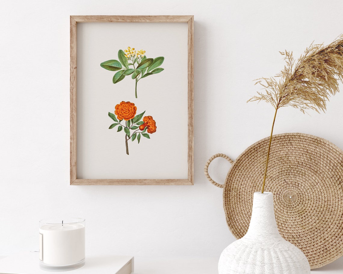 Yellow Jasmine and Pomegranate Blossom Botanical Art Print Pair - Image 3