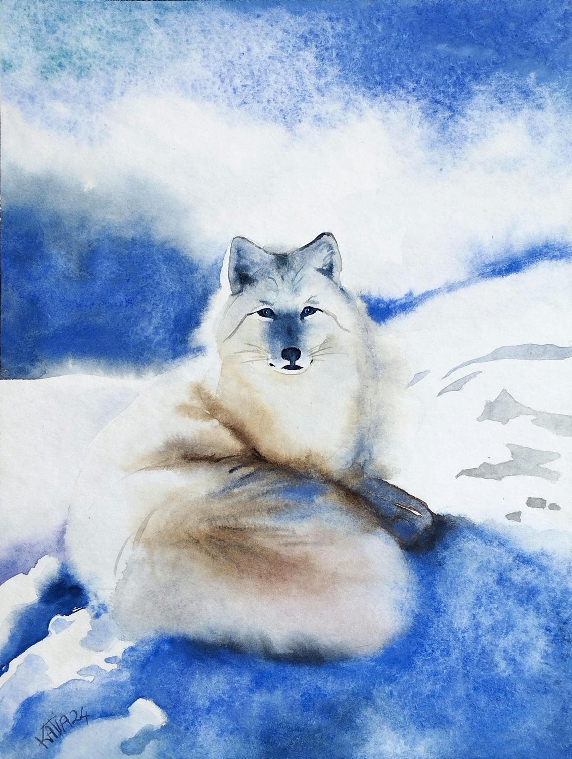 Arctic White Fox Curled in Blue Snow Watercolor Wildlife Poster