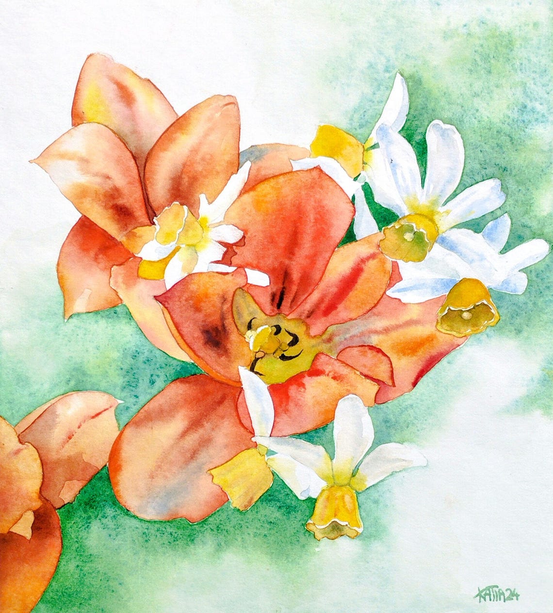 Red Tulips And White Daffodils Spring Bouquet Watercolor Art Poster