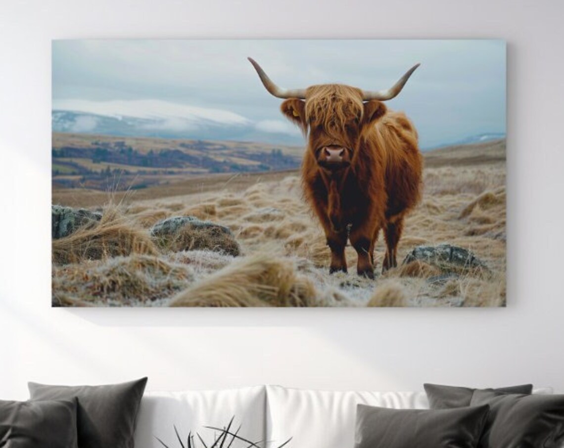 Highland Cow Frosty Moor Portrait Shaggy Brown Cattle Wall Art