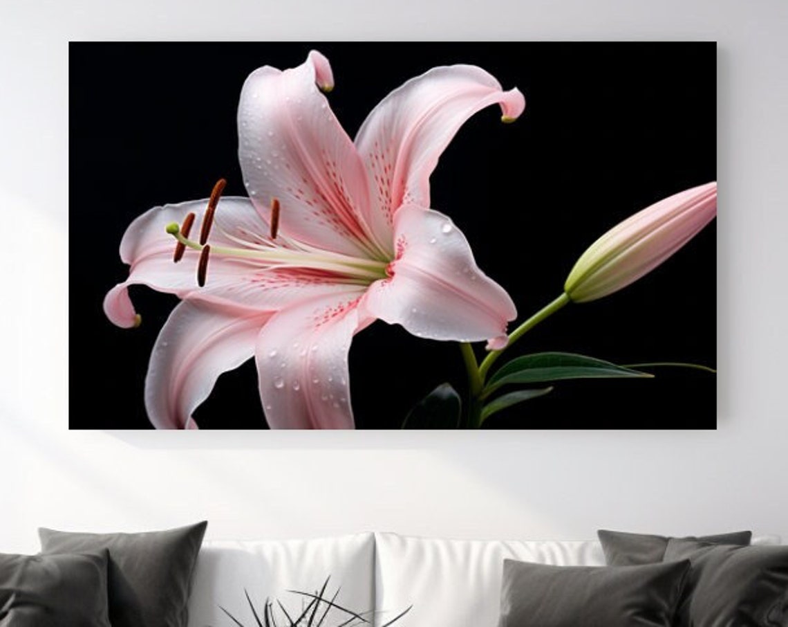 Pink Lily Flower Dew Drops Black Background Bloom Floral Art Poster
