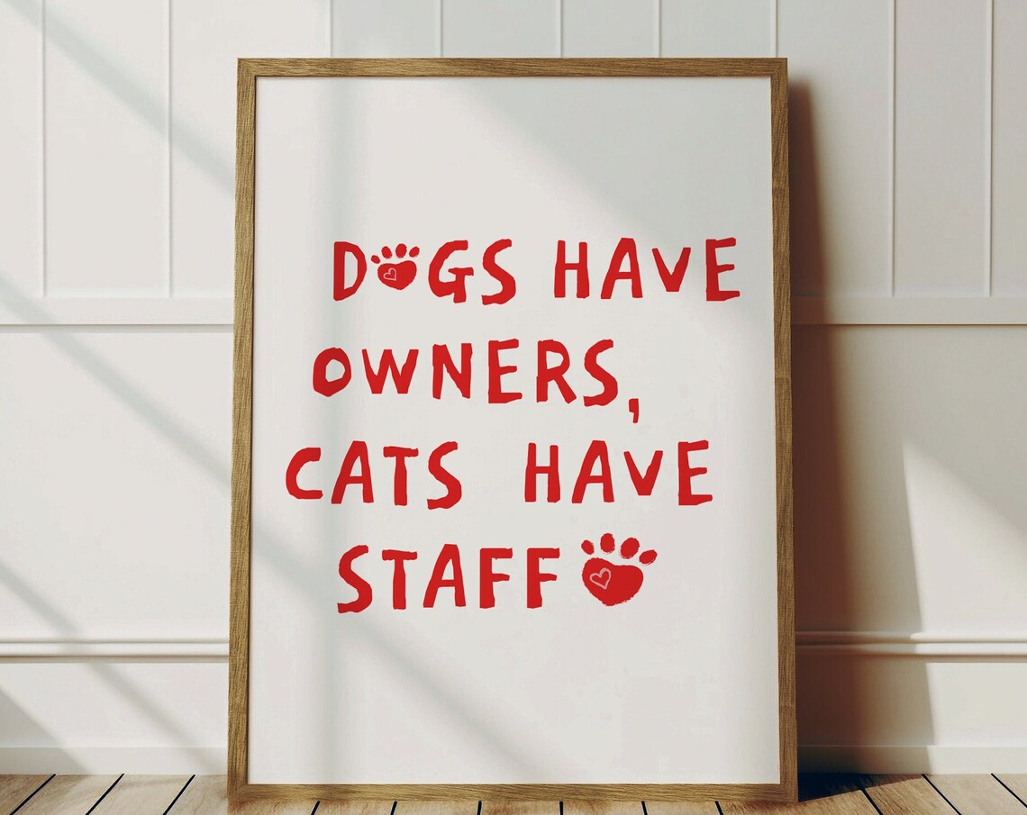 Funny Cat Print, Veterinarian Office Decor