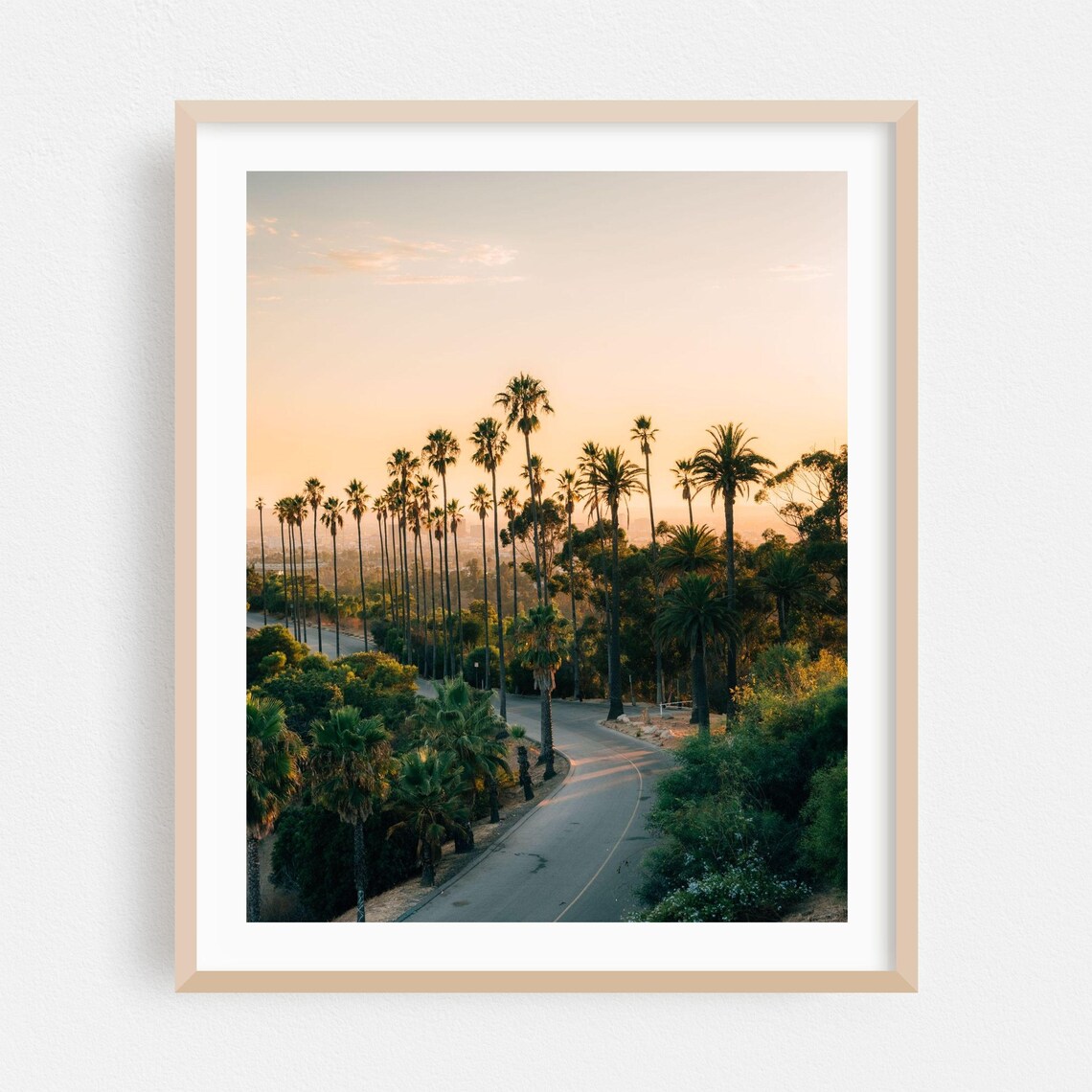 Los Angeles Palm Tree Lined Road at Sunset Photography Poster