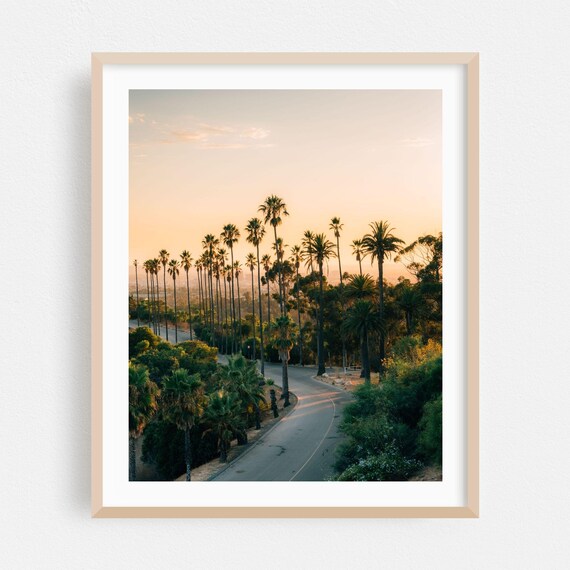 Los Angeles Palm Tree Lined Road at Sunset Photography Poster