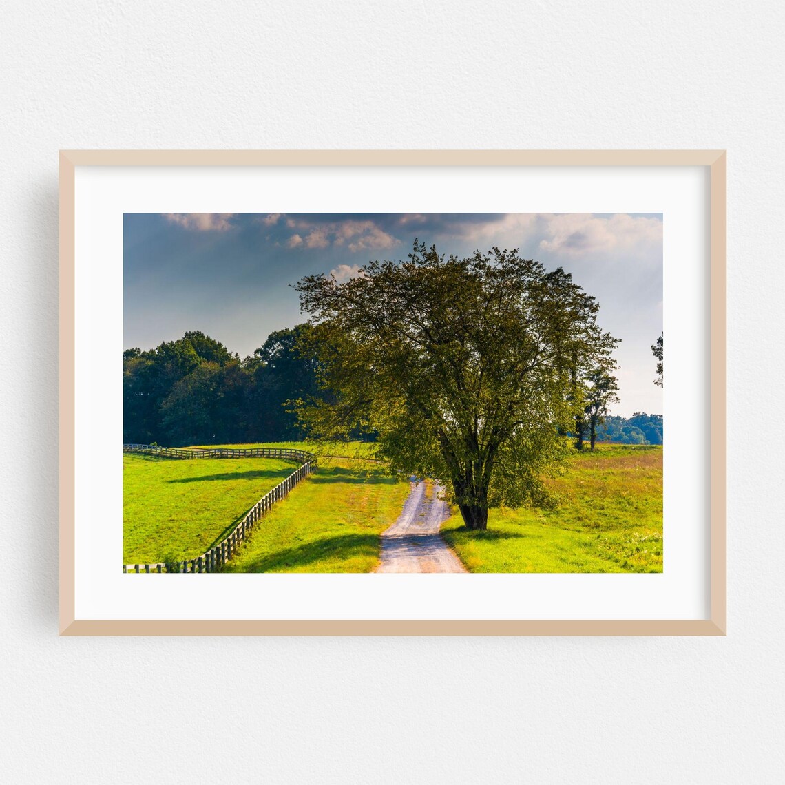 Maryland Country Road Wooden Fence Green Pasture Photography Print