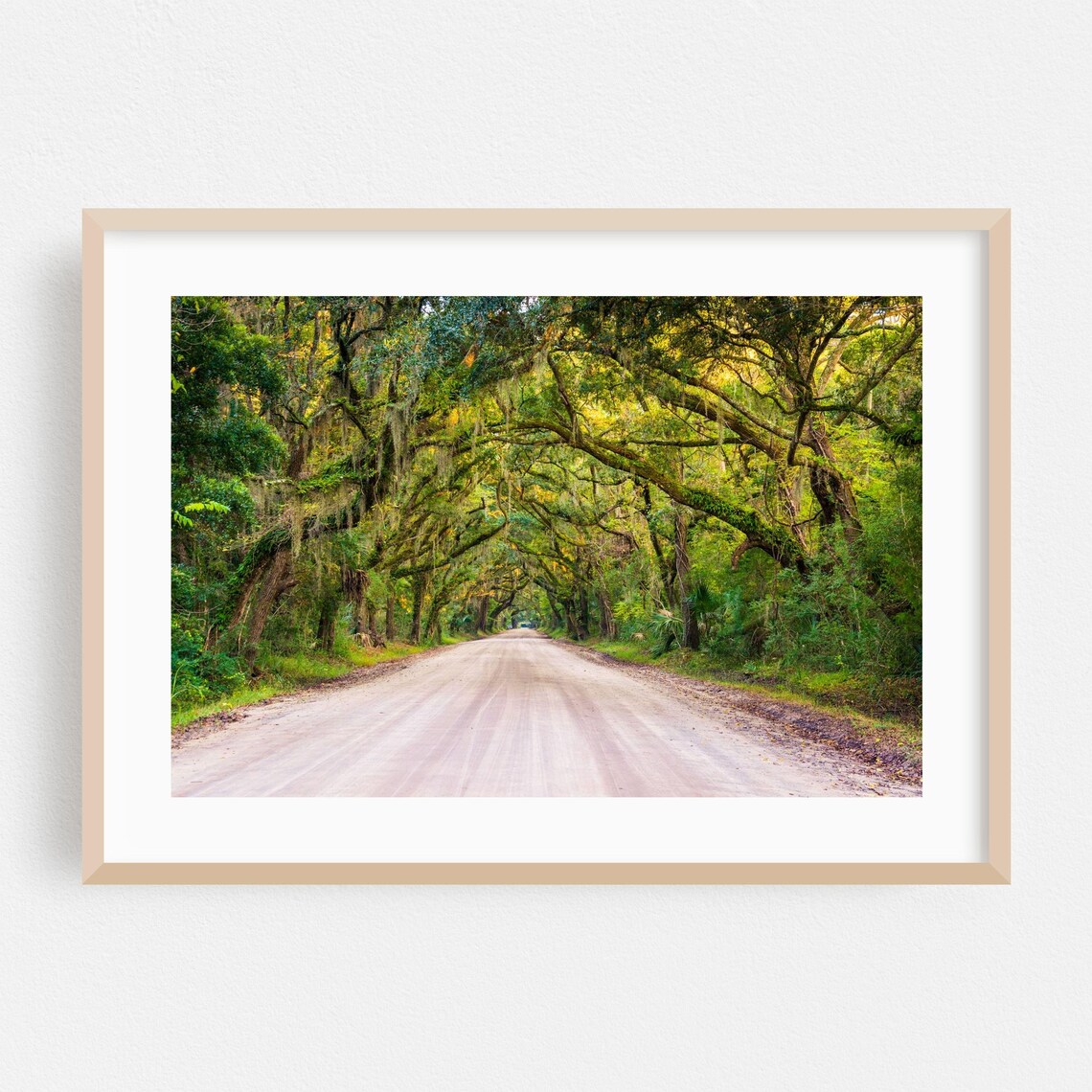 Edisto Island Oak Tunnel Road Moss-Covered Trees Nature Photo Poster