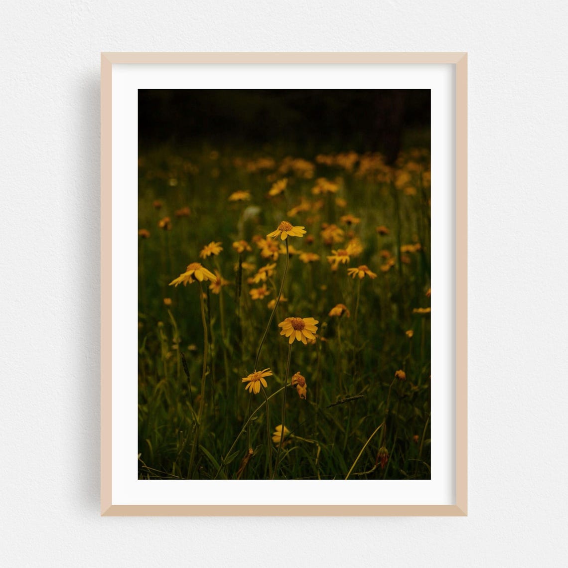 Yellow Wildflowers Glowing in a Soft Green Meadow at Dusk Poster