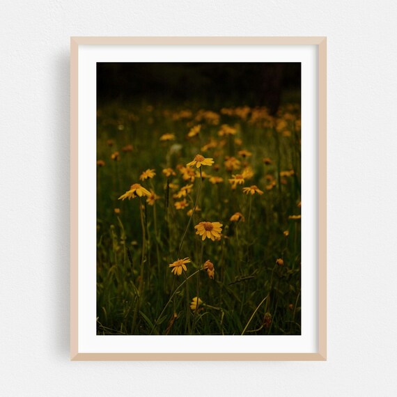 Yellow Wildflowers Glowing in a Soft Green Meadow at Dusk Poster