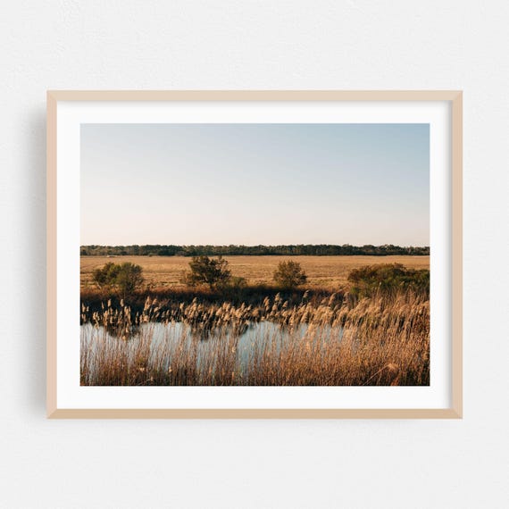 Chincoteague Print Virginia Wall Art Landscape Framed Nature Home Decor Rural Poster Scenic Fine Autumn Botanical Farmhouse