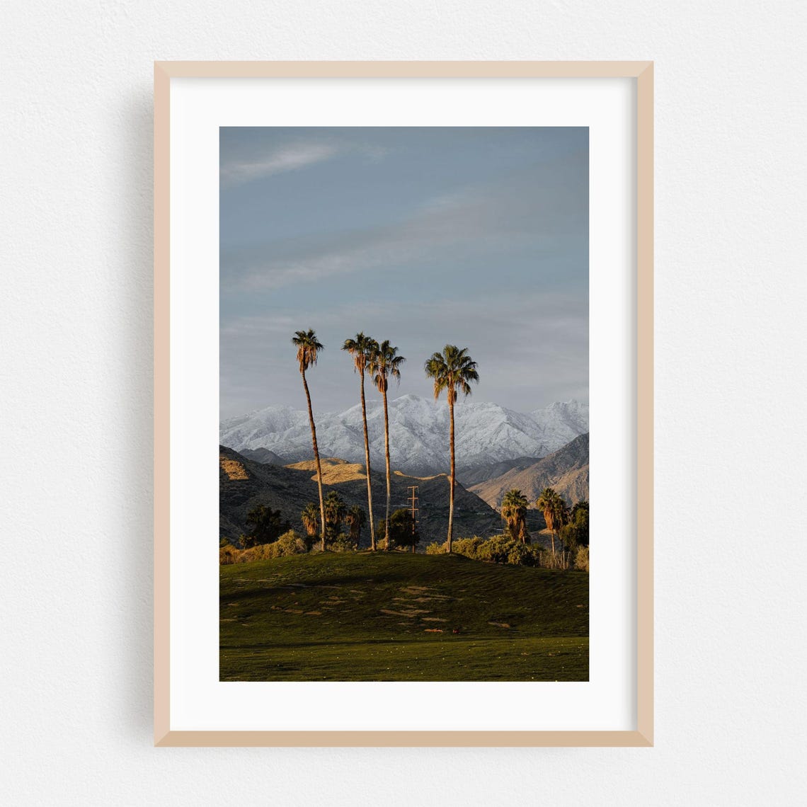 Desert Palm Trees Against Snow Capped Mountain Peaks Photography Print