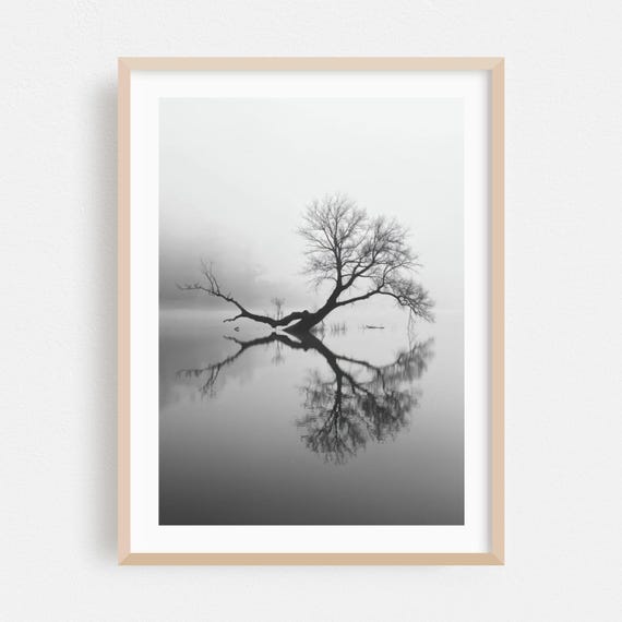 Black And White Alps Landscape Art Print