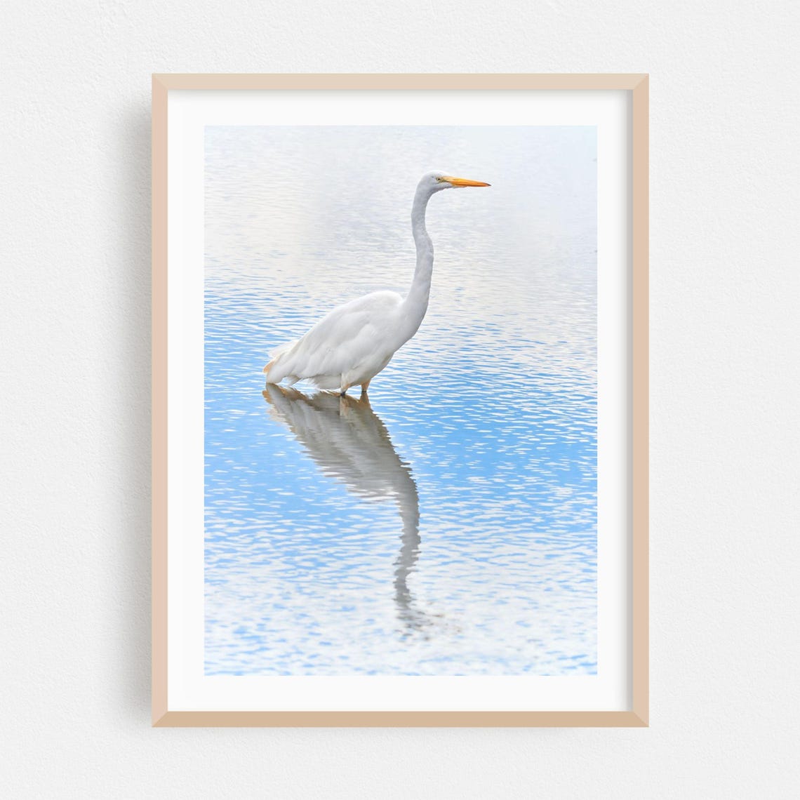 Great Egret Wading With Mirror Reflection Wildlife Art Poster