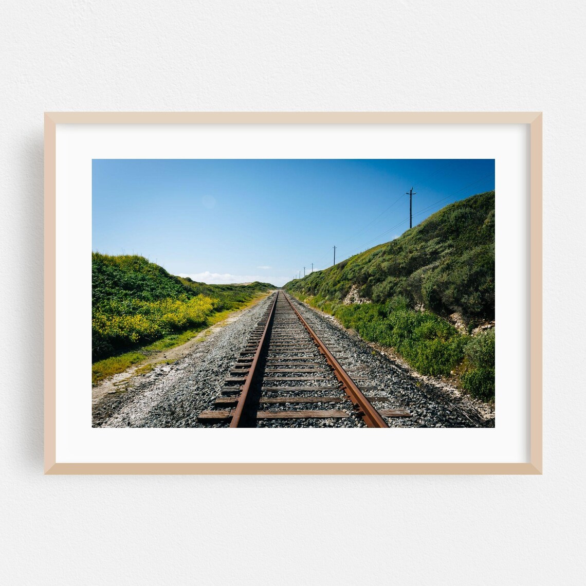 Santa Cruz Scenic Railroad Tracks Through Rolling Hills Print