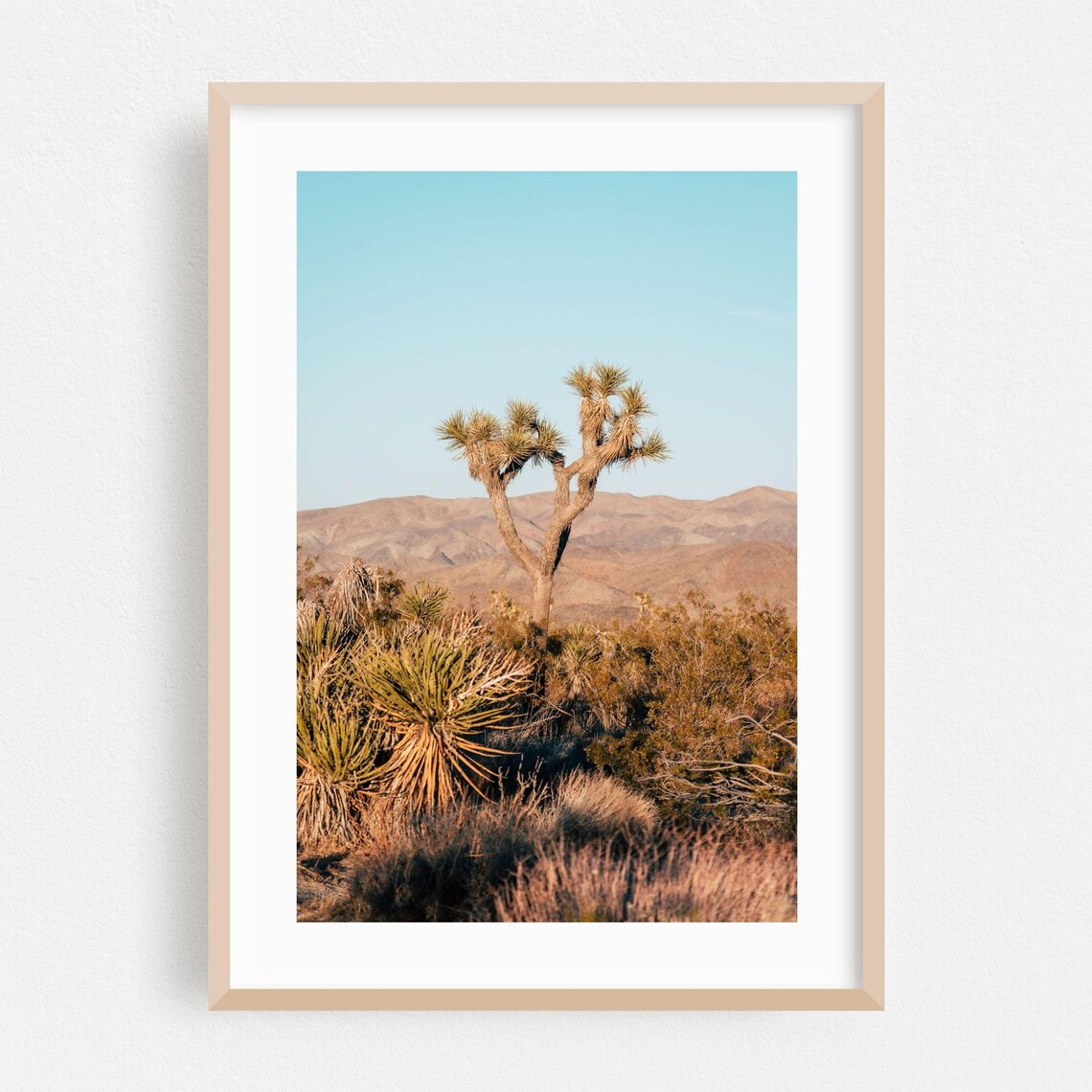 Joshua Tree California Desert Yucca Golden Hour Photography Print