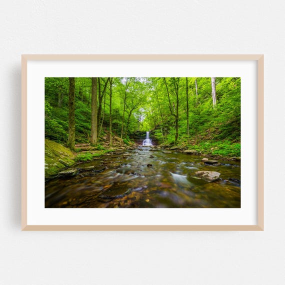 Pennsylvania Print Waterfall Wall Art Forest Framed Nature Home Decor Landscape Poster Scenic Fine Summer Botanical