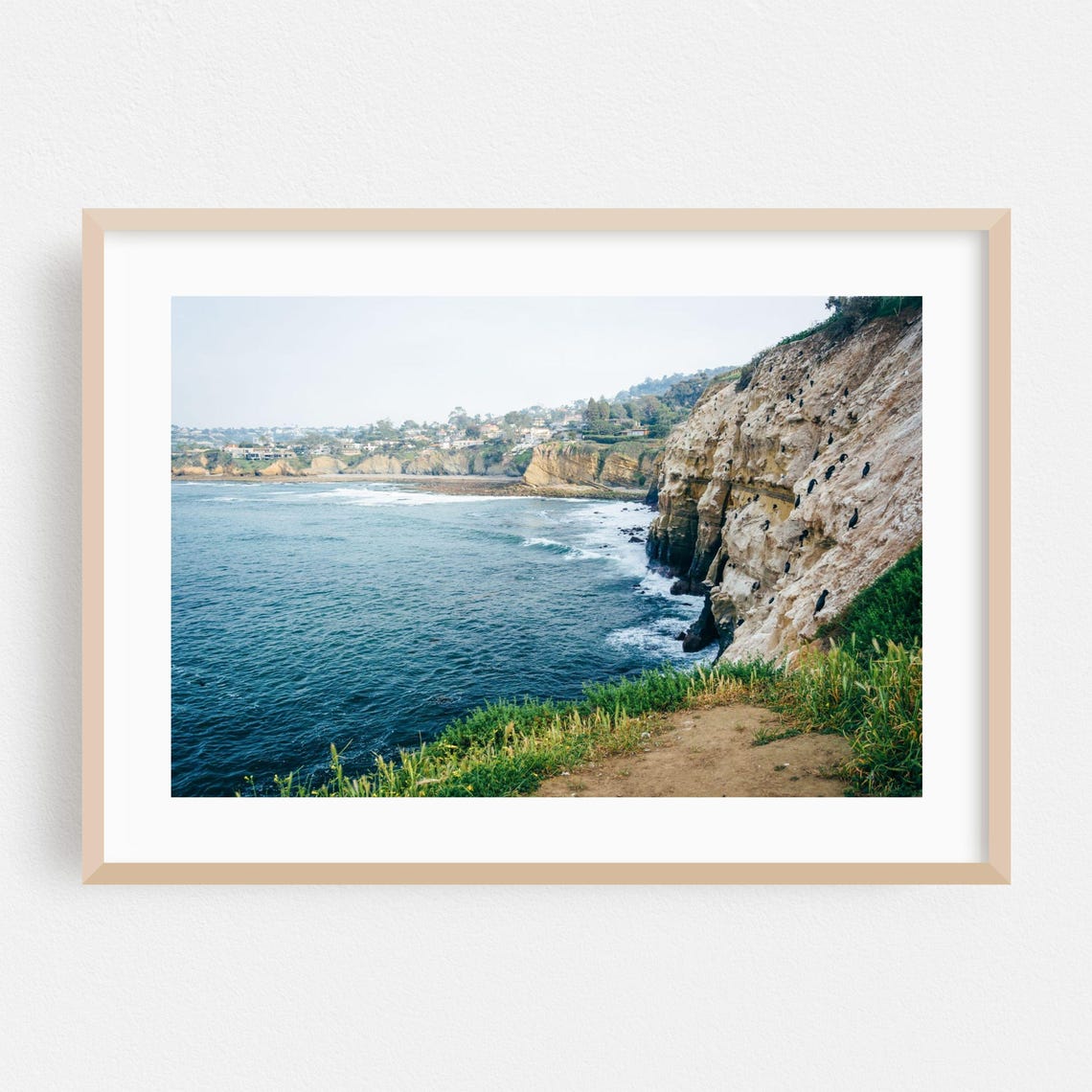 La Jolla California Coastline Cliffs Ocean Photography Poster