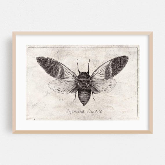 Insect Print, Vintage Botanical Line Illustration