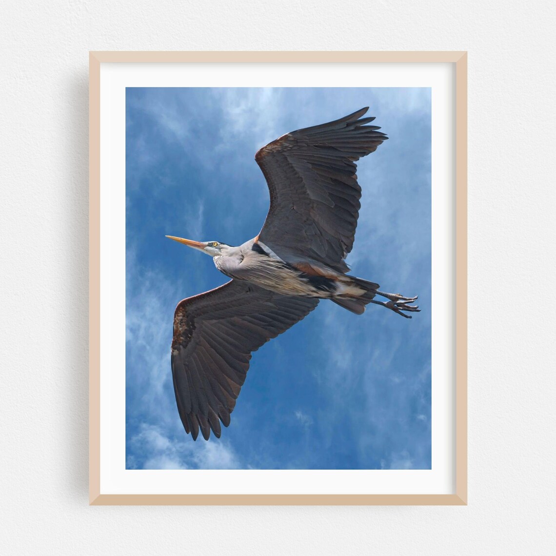 Soaring Heron Wings Spread Blue Sky Wildlife Photography Wall Art