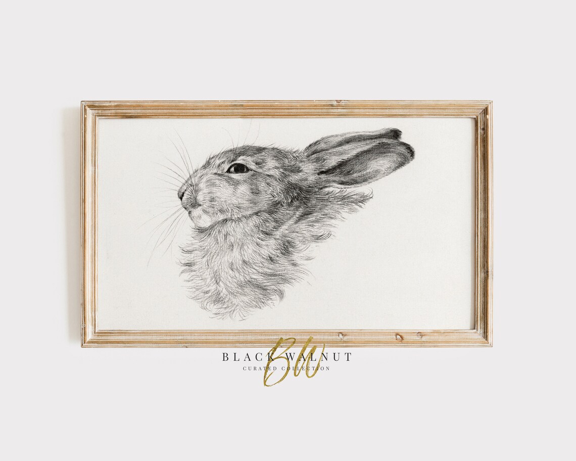 Bunny Rabbit Head Pencil Sketch Vintage Drawing Neutral Animal Art Poster